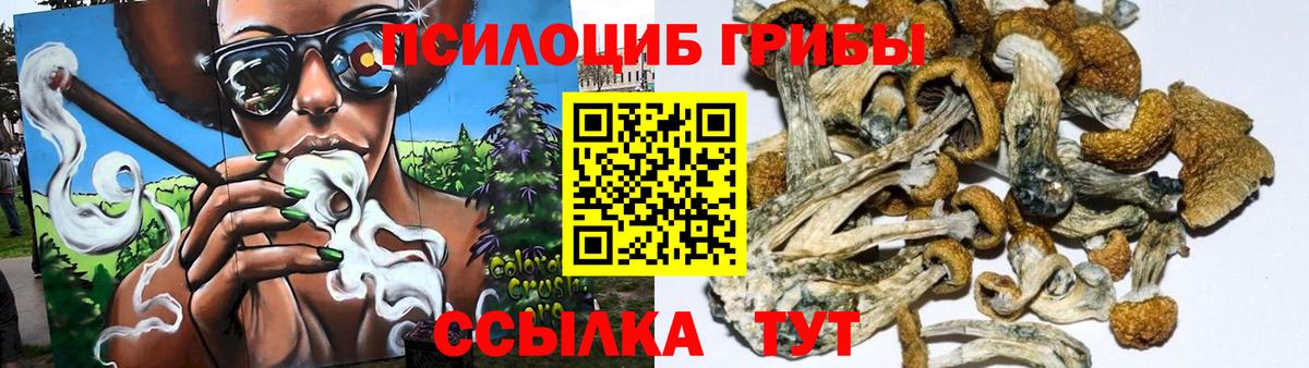 Псилоцибиновые грибы мицелий Костомукша